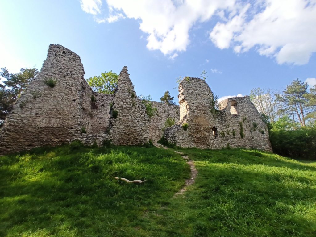 ruiny zamku bydlin 