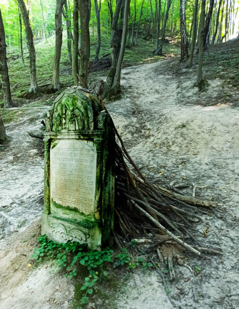cmentarz zydowski kazimierz dolny 