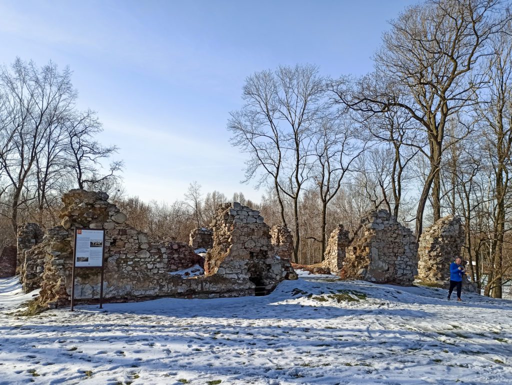 Ruiny zamku rudzkiego