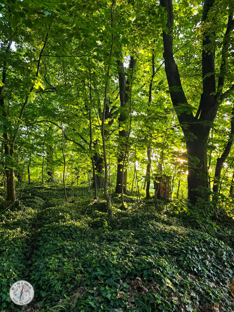 cmentarz gruszów
