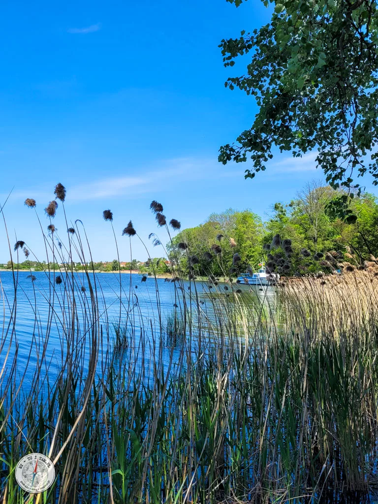 promenada Wisławy Szymborskiej